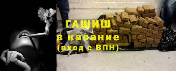 индика Абаза