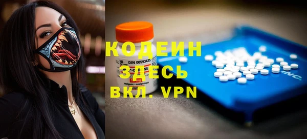 индика Абаза