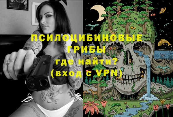 индика Абаза
