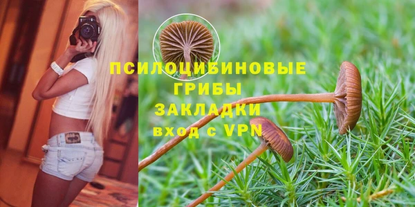таблы Алексин
