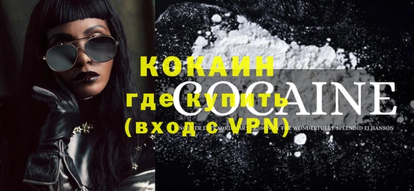 индика Абаза