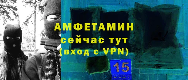 индика Абаза