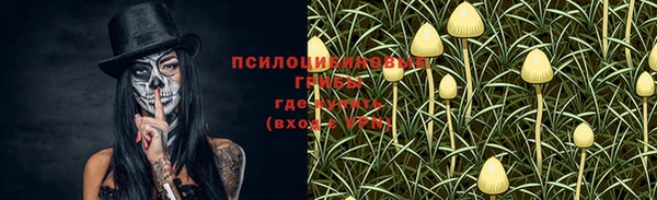 крисы Абинск