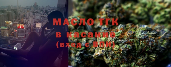 индика Абаза