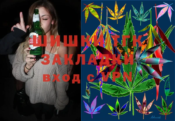 индика Абаза