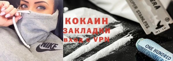 индика Абаза