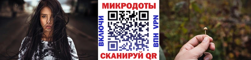 закладки  Сафоново  Галлюциногенные грибы прущие грибы 